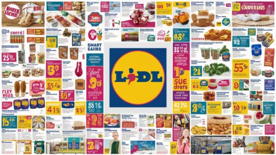 lidl flugblatt blättern