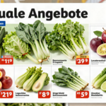 Lidl Flugblatt Wien: Aktuelle Angebote, Aktionen und Sparmöglichkeiten entdecken